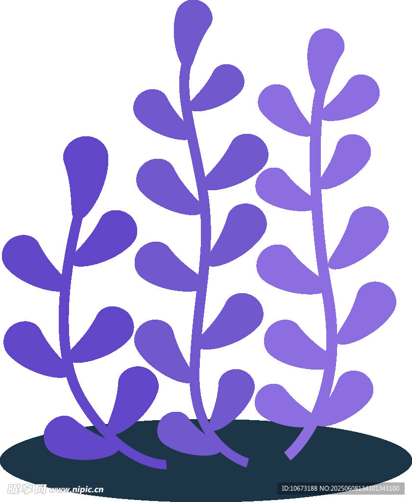 紫色植物插畫