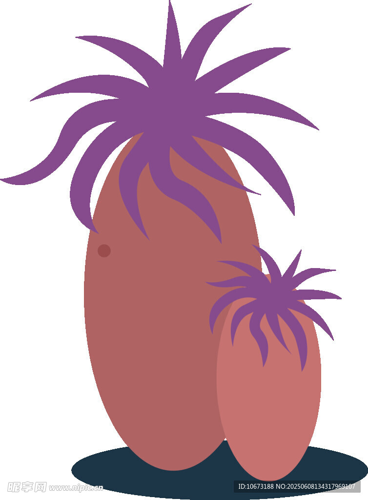 紫色仙人掌插畫