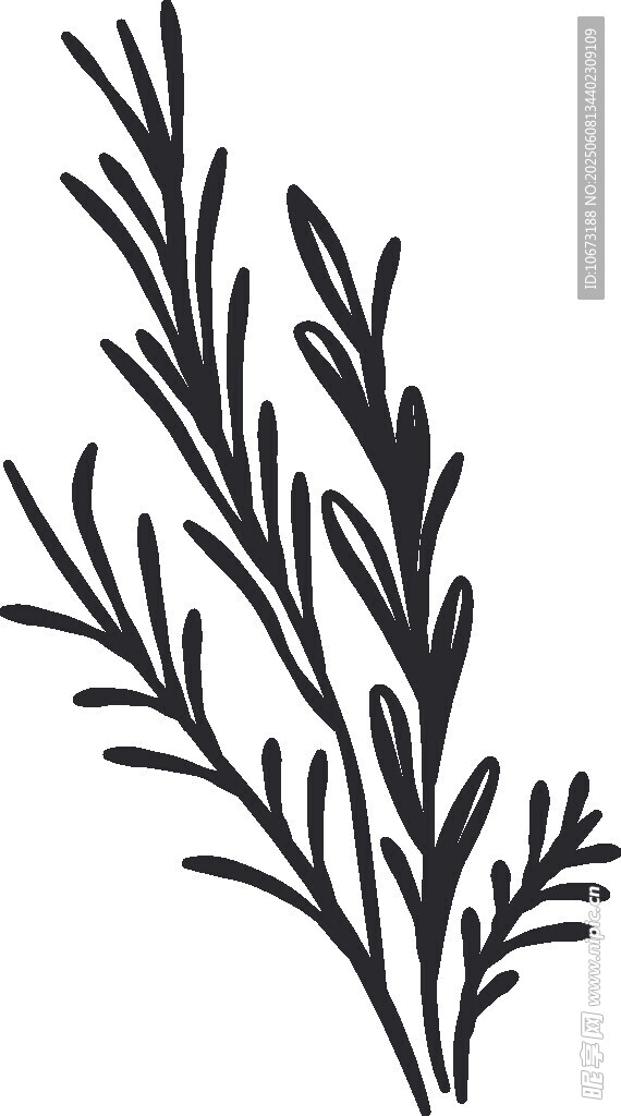 簡約手繪植物枝葉圖案