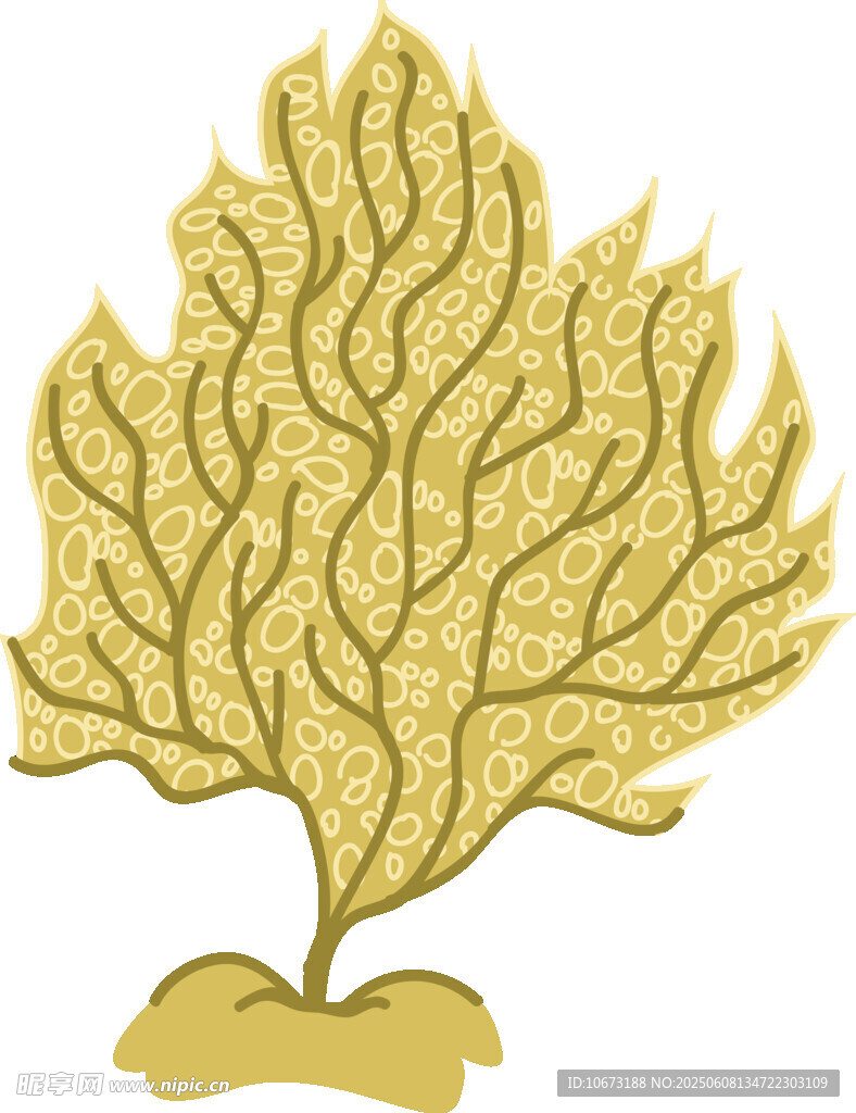 金色葉脈狀植物插畫