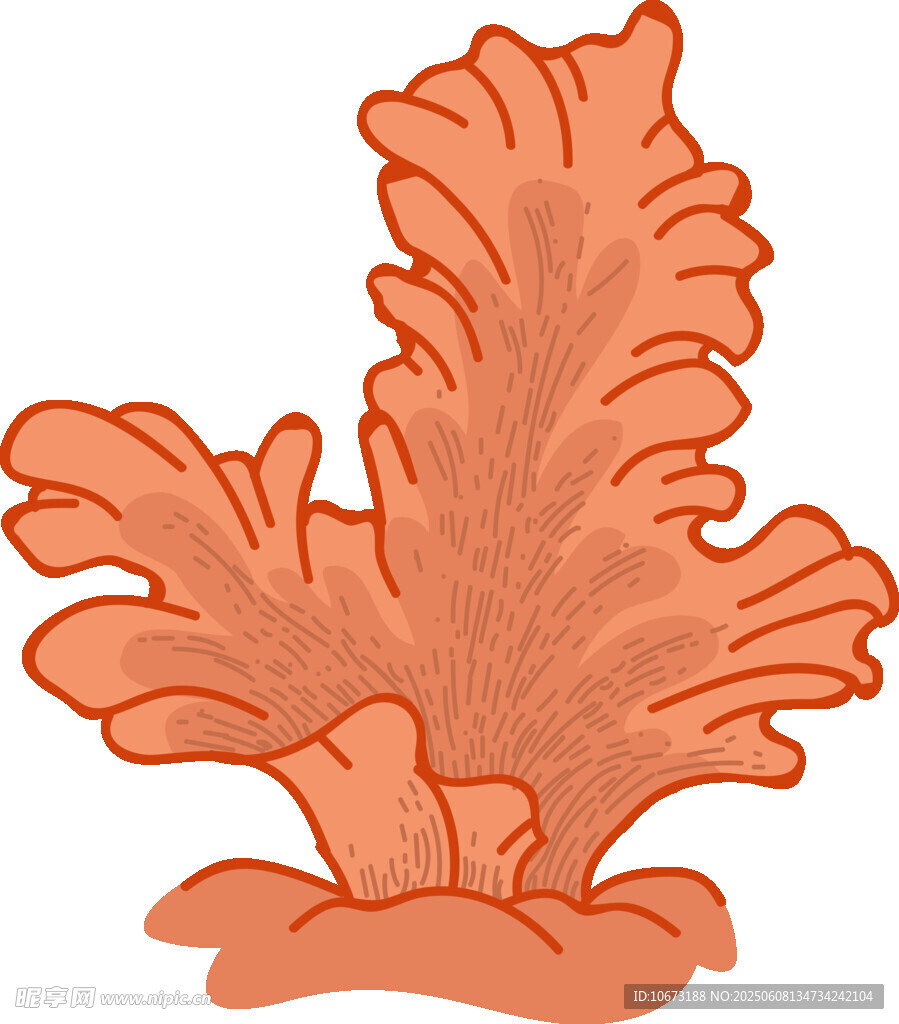 橙色珊瑚插畫