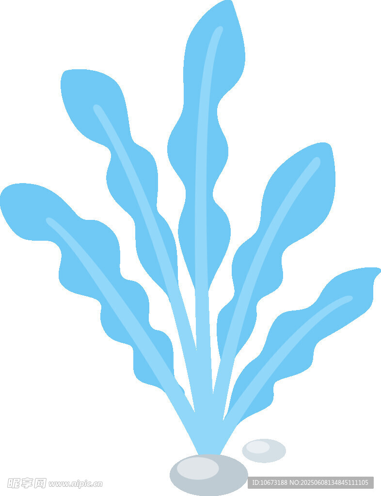 藍色水草插畫