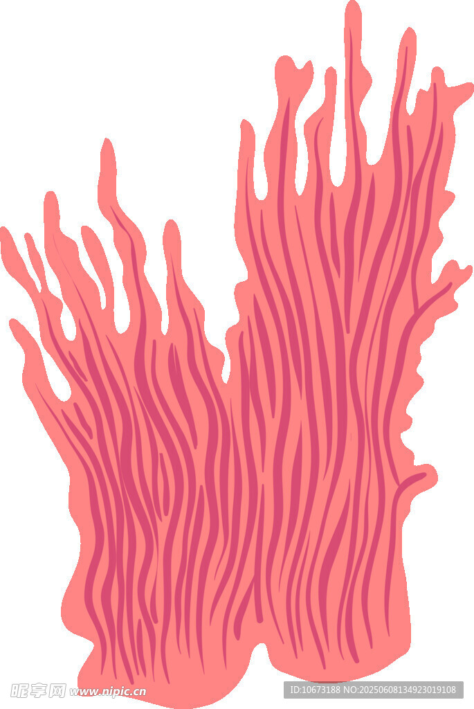 粉色珊瑚插畫