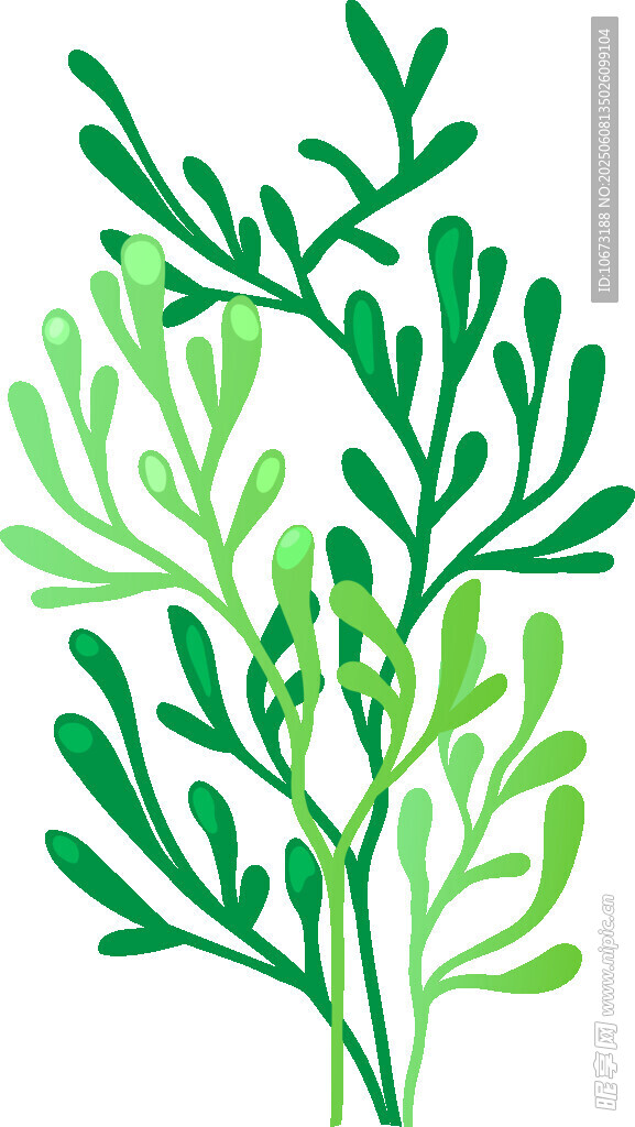 清新綠植枝葉插畫