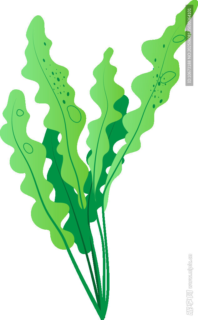 清新綠色水草插畫
