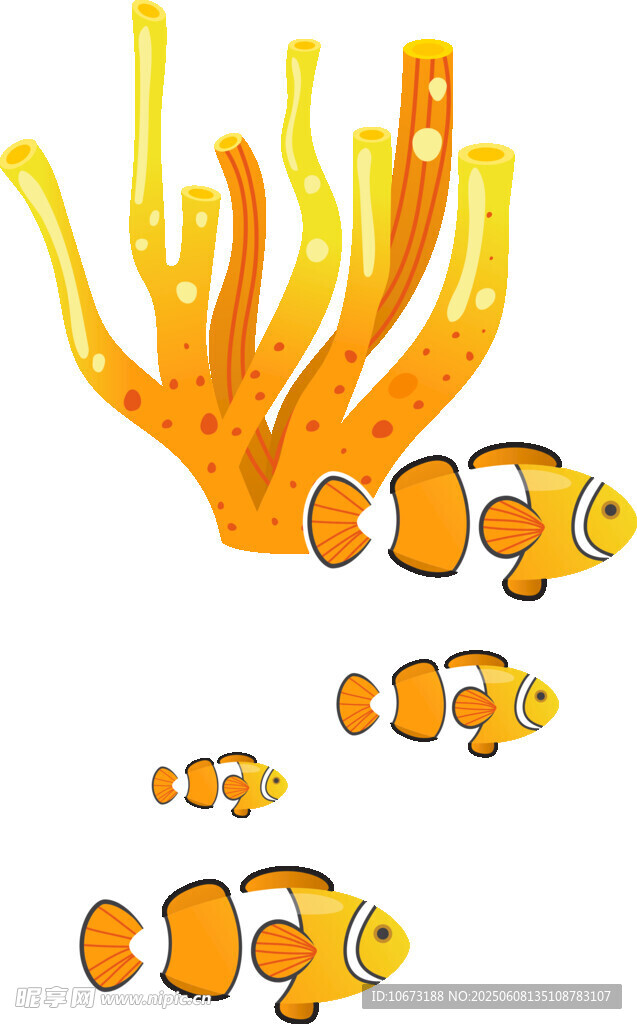 珊瑚與小丑魚插畫