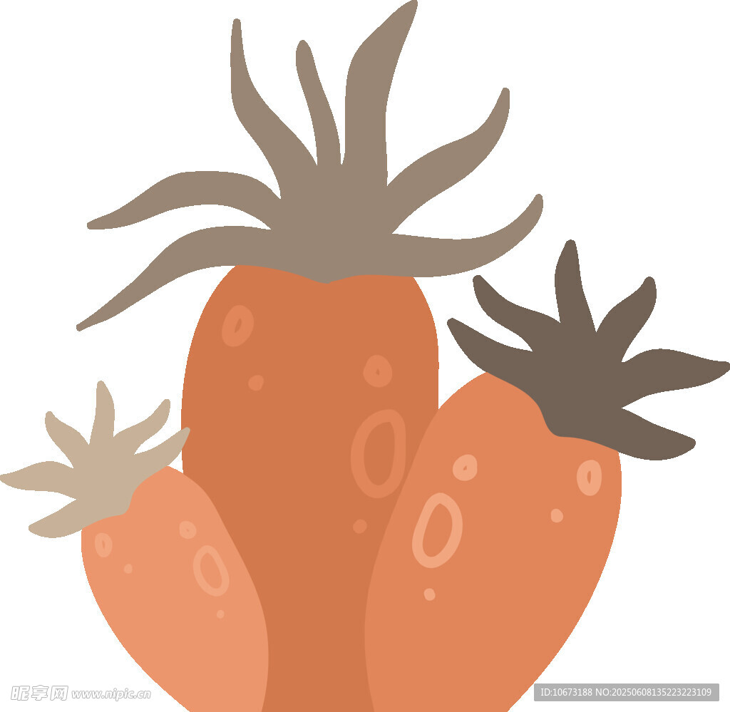 可愛胡蘿卜插畫