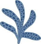 藍色斑點海草插畫