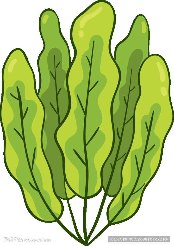 新鮮綠葉蔬菜插畫