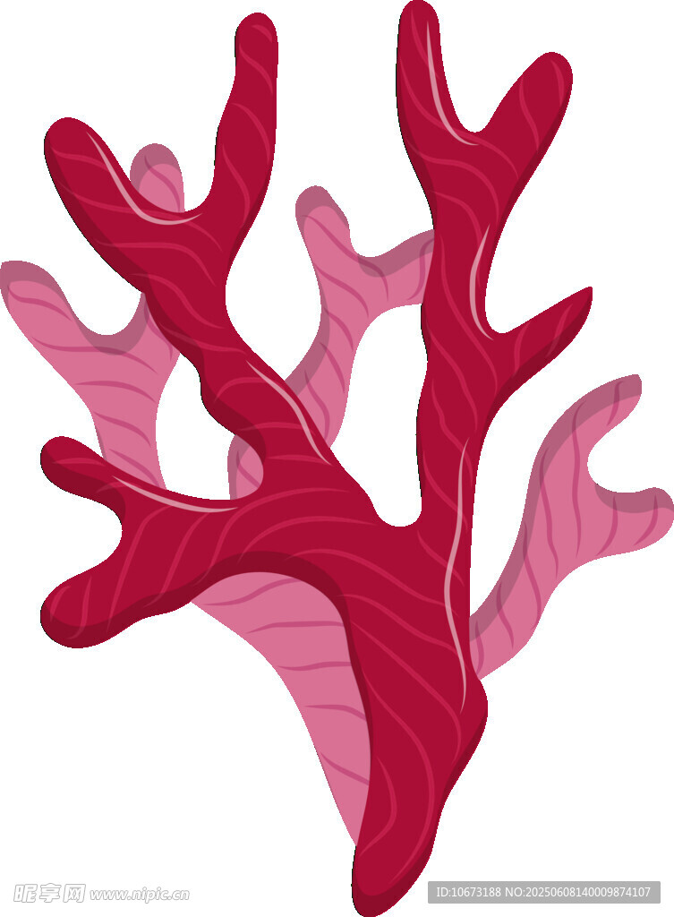紅色珊瑚插畫