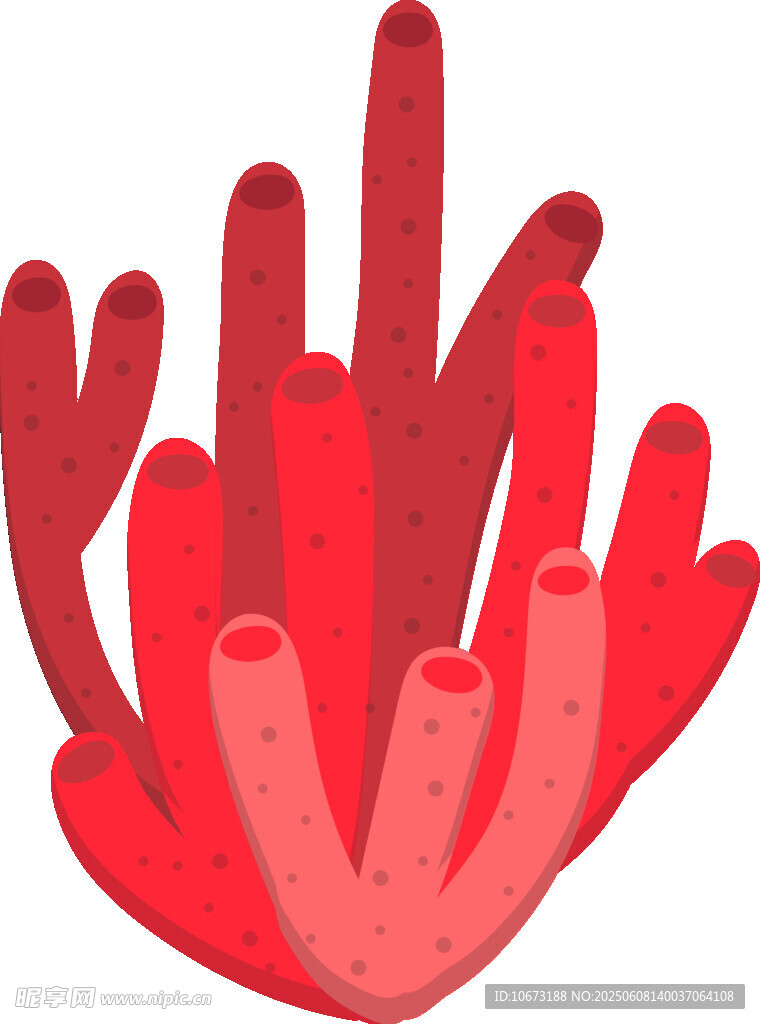 紅色珊瑚插畫