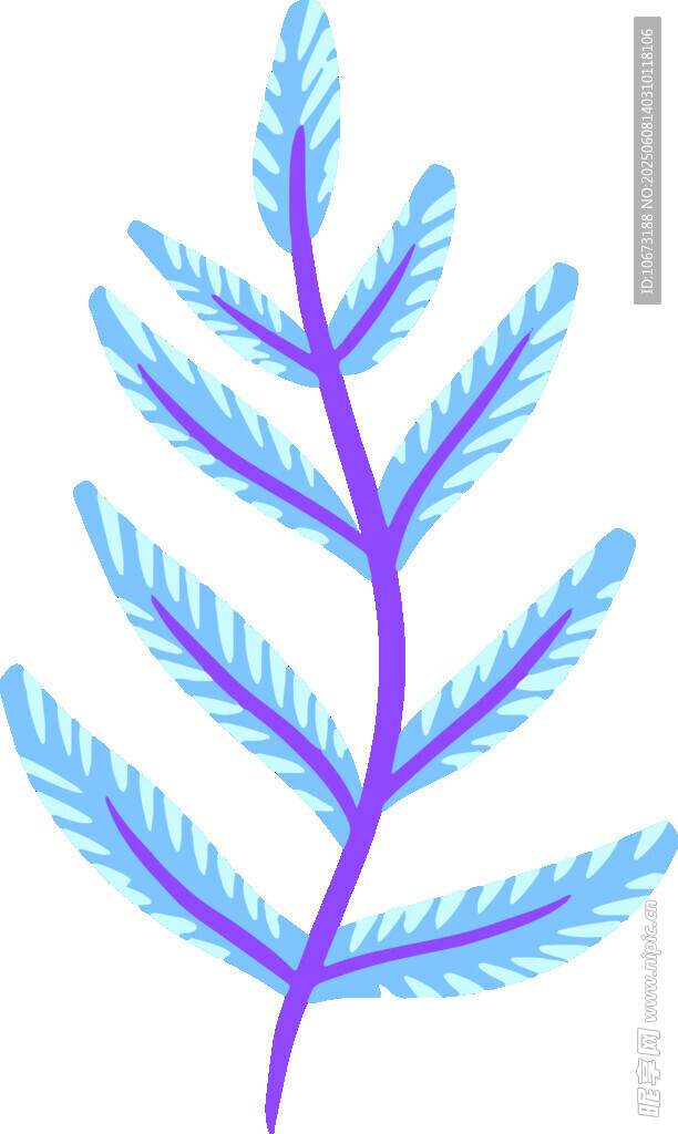 藍色羽狀植物插畫