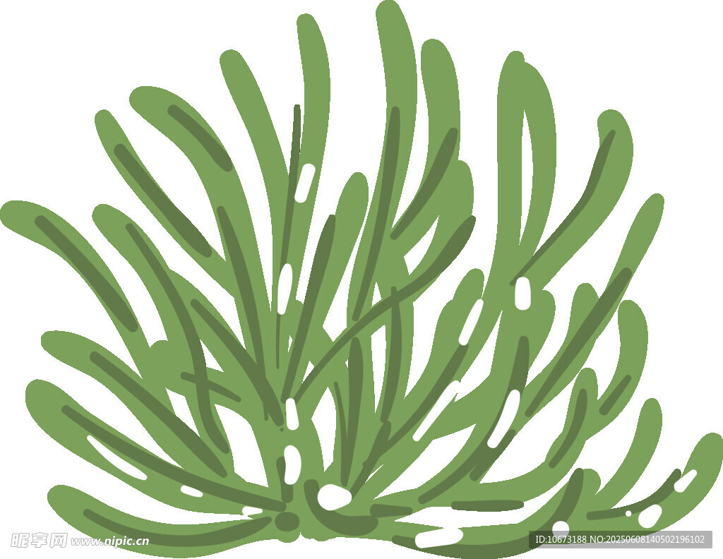 綠色海草插畫