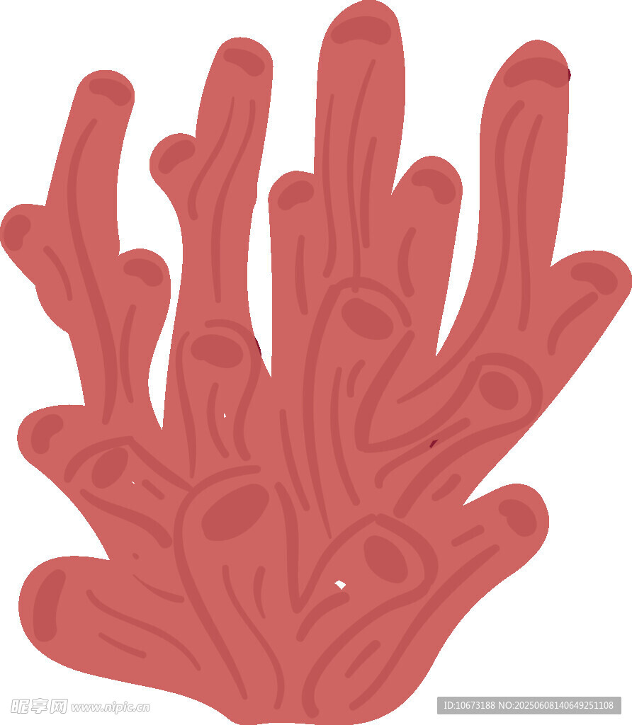 紅色珊瑚插畫