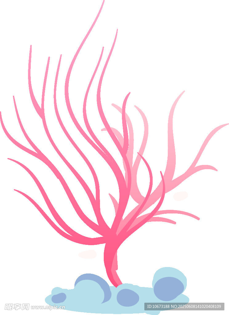 粉色珊瑚插畫