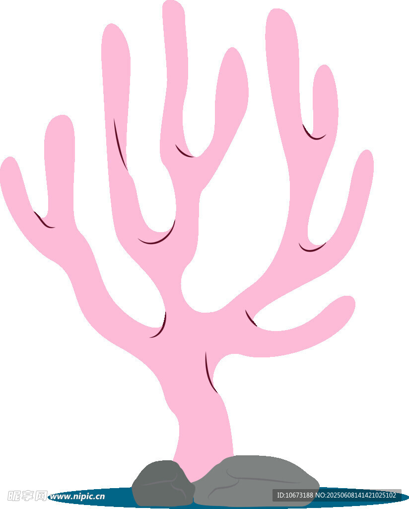 粉色珊瑚插畫