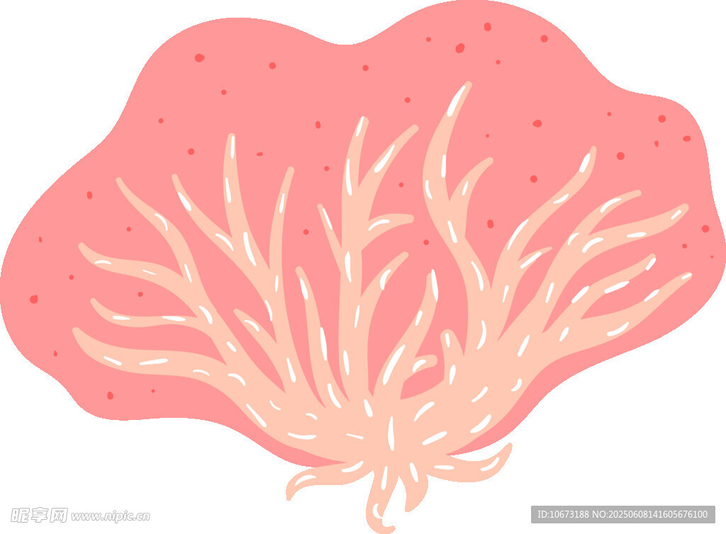 粉色珊瑚插畫