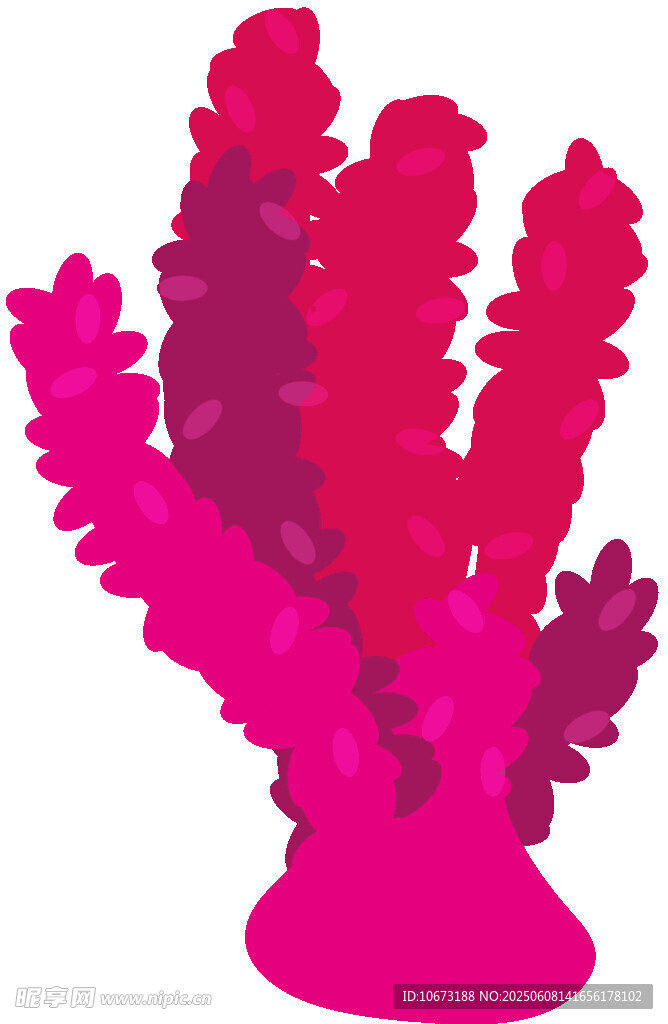 粉色珊瑚插畫