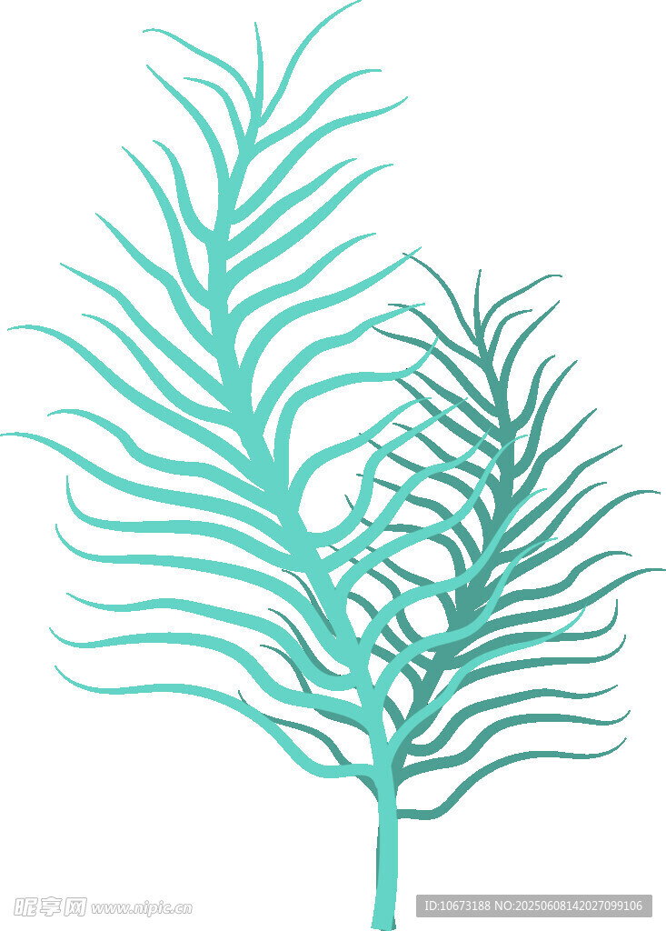 藍(lán)綠色羽狀植物插畫
