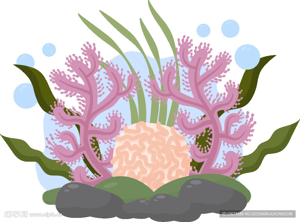 海底珊瑚景觀插畫