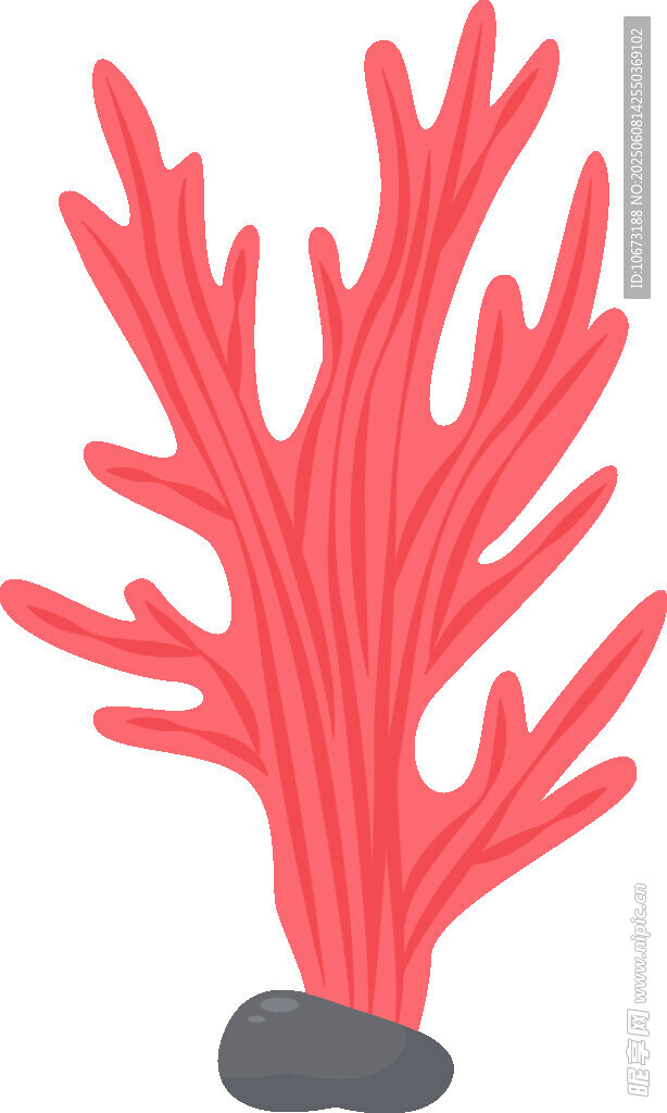 紅色珊瑚插畫