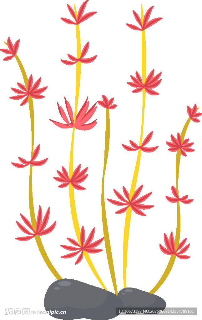 石旁綻放的紅色小花