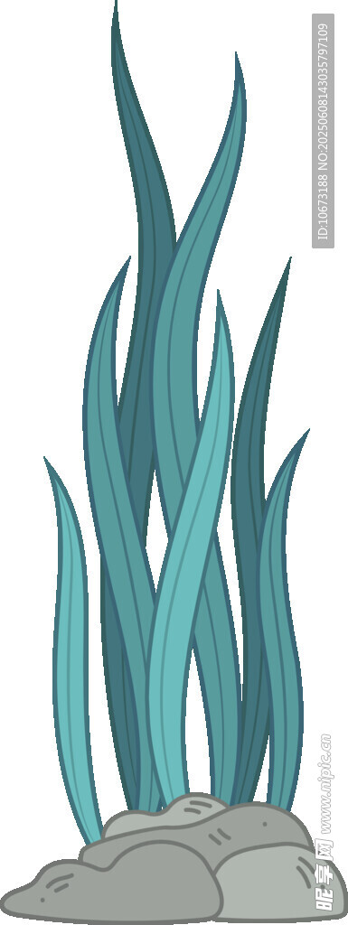 海底水草與巖石景觀