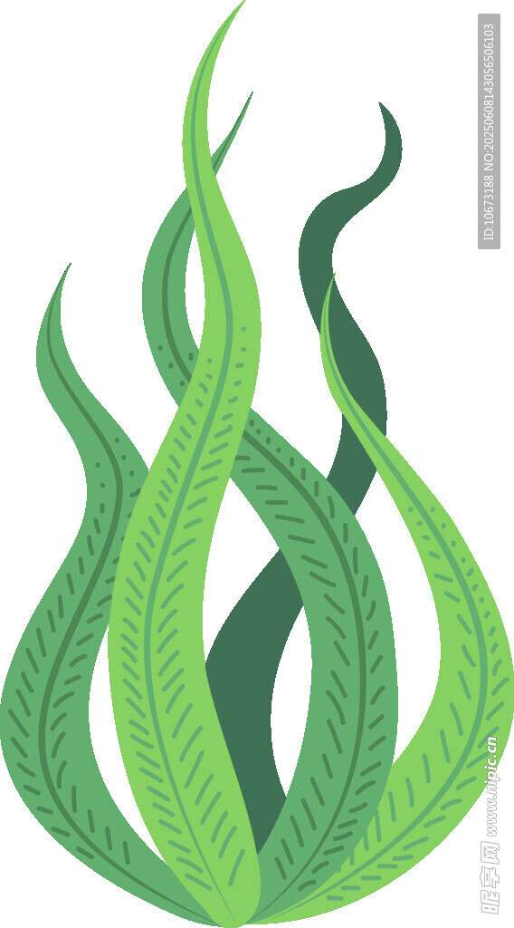 綠色卷曲葉片植物插畫
