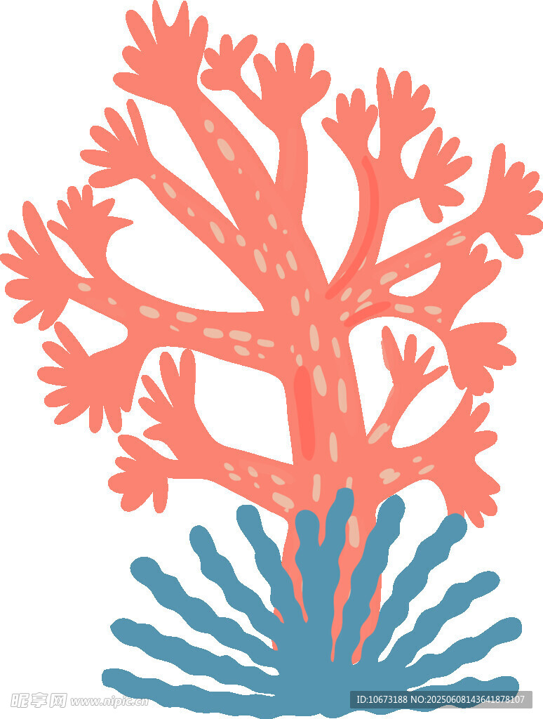 珊瑚插畫圖案