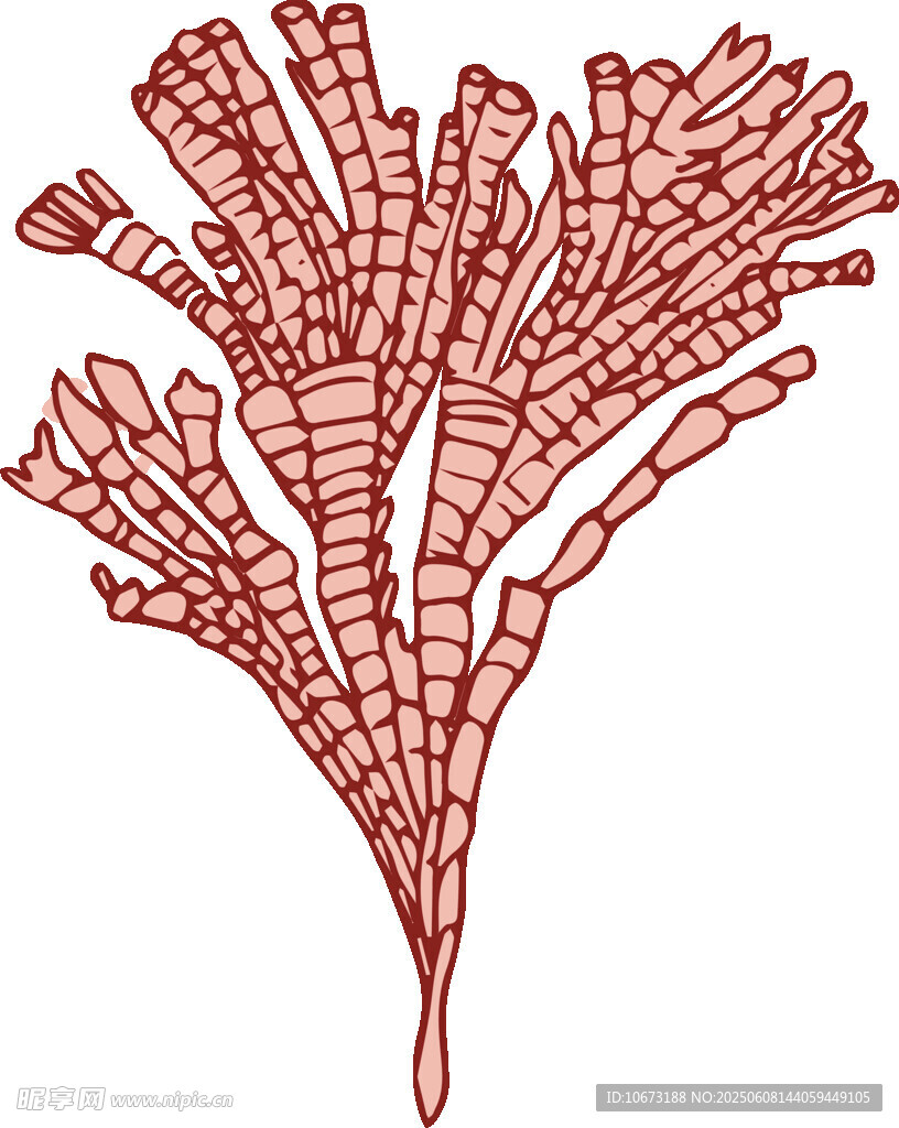 紅色珊瑚植物圖案插畫(huà)