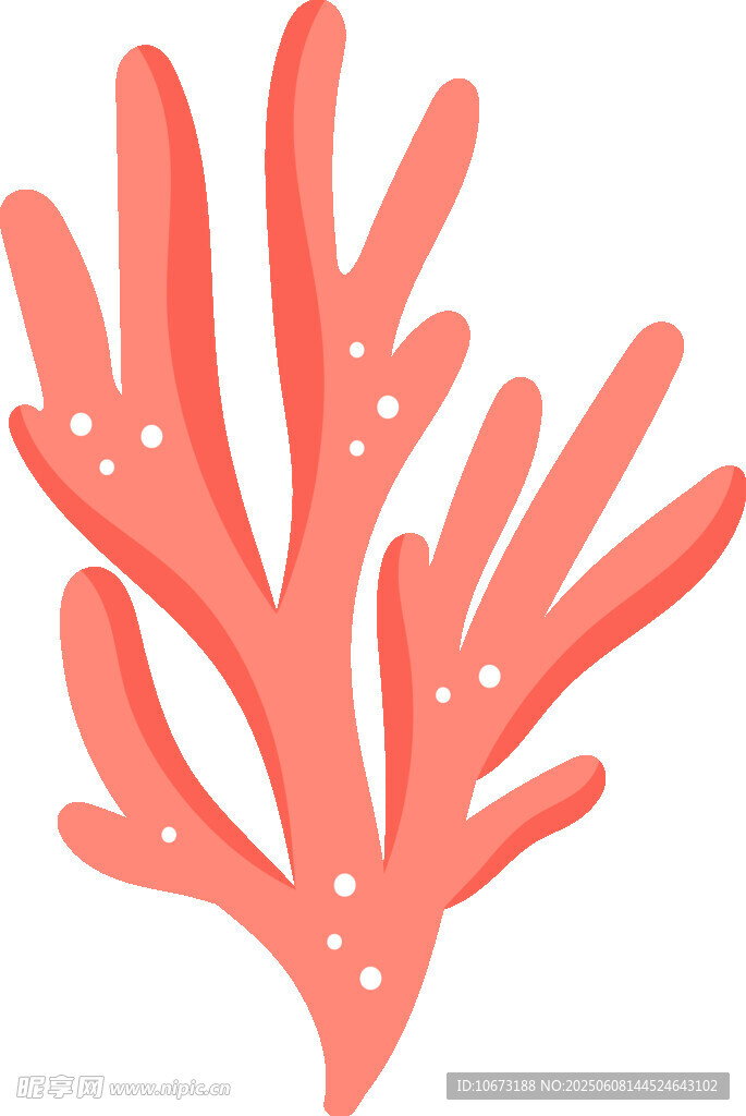 粉色珊瑚插畫