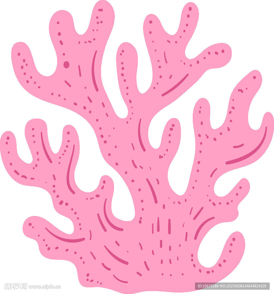 粉色珊瑚插畫