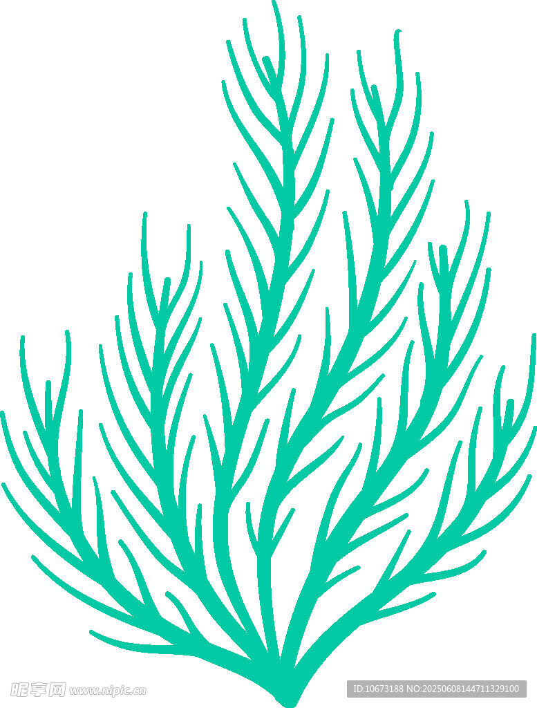 海草圖案設計