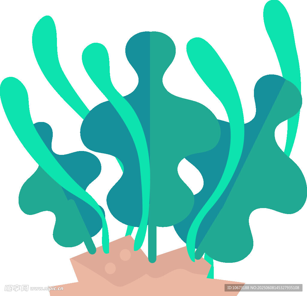綠植從紙箱中蓬勃生長