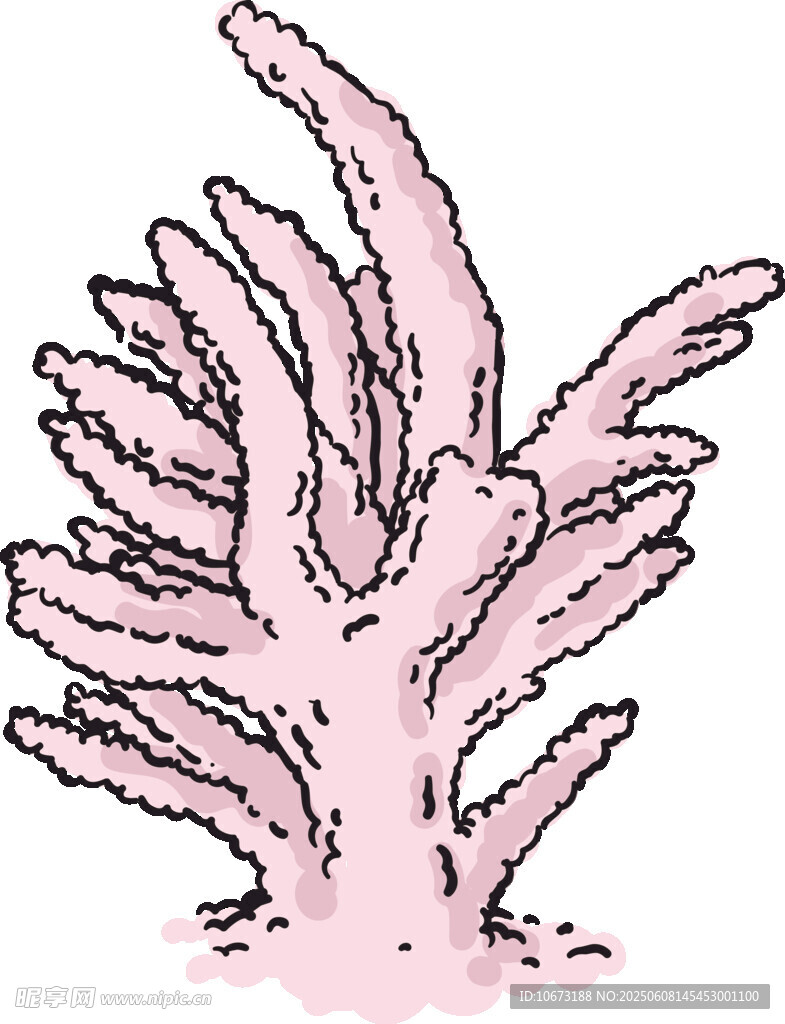 粉色珊瑚插畫