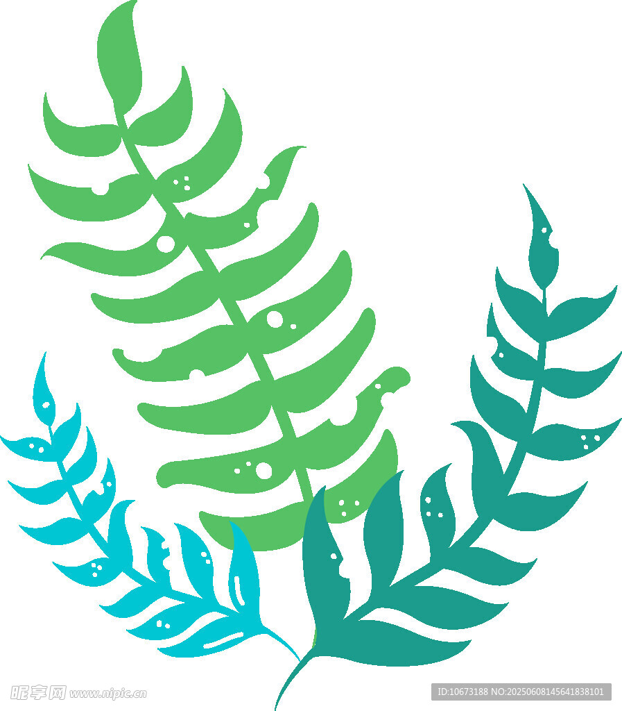 清新蕨類植物圖案設計