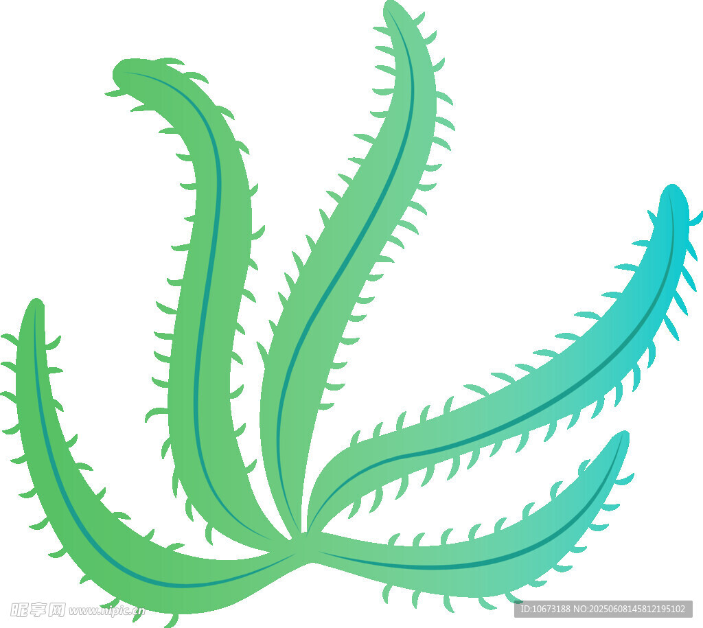 綠色帶刺植物插畫