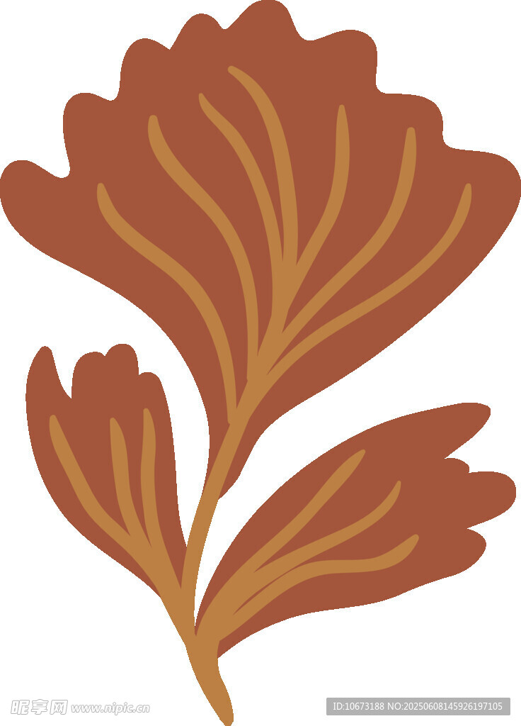 橙紅色葉片插畫圖案