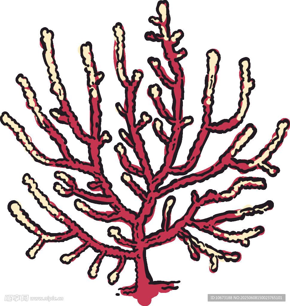 紅色珊瑚枝插畫