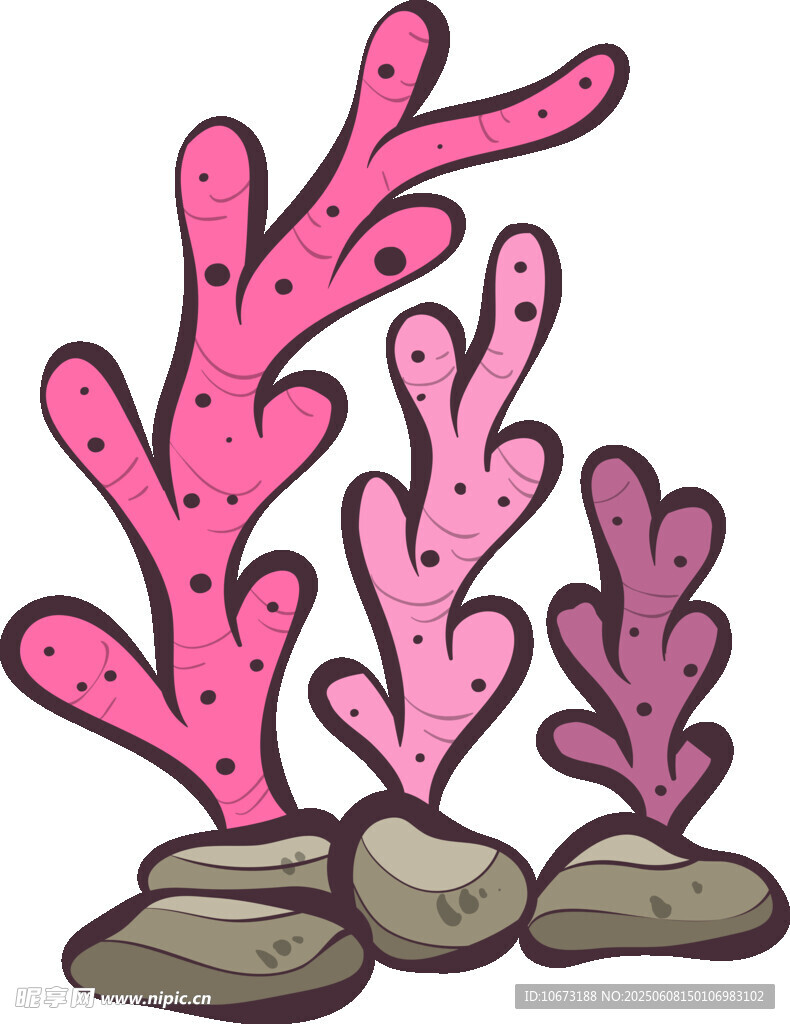 粉色珊瑚與石頭插畫(huà)