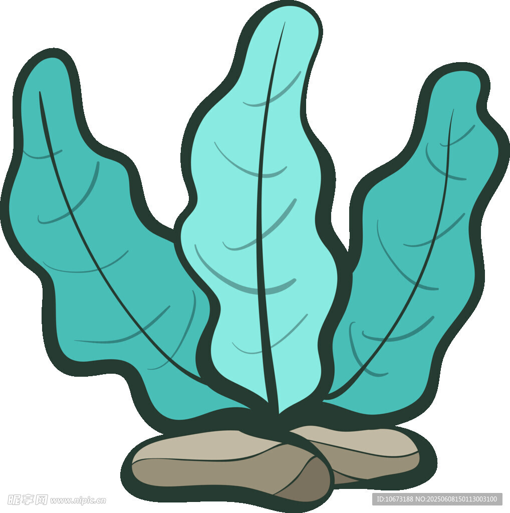 海草插畫
