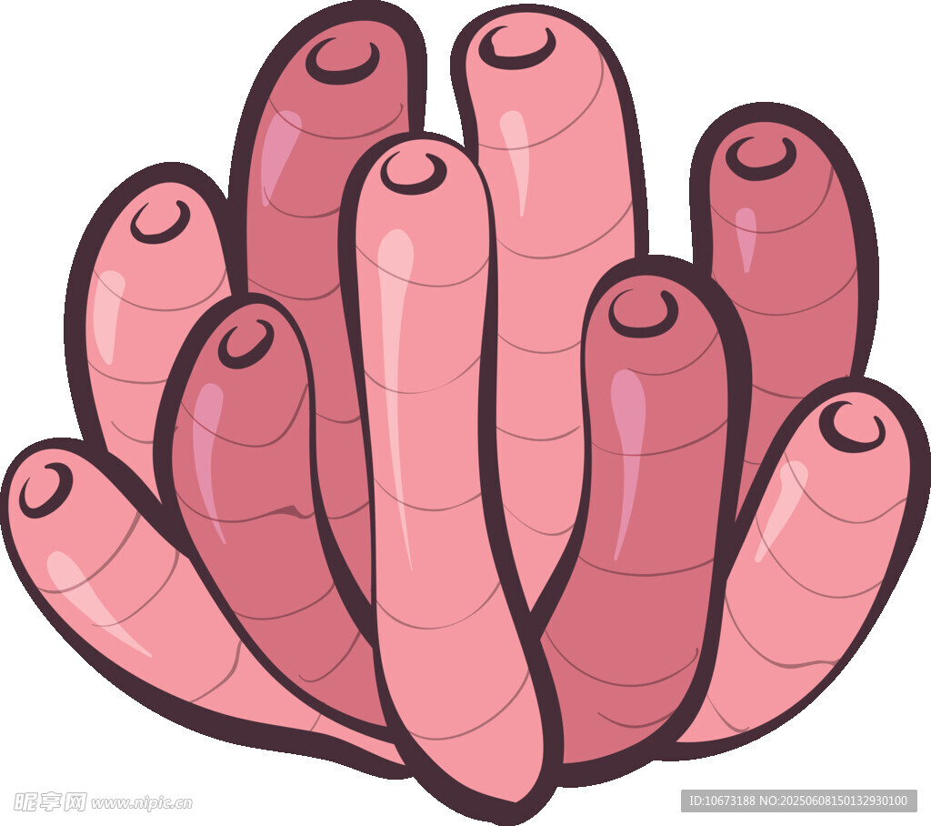 粉色珊瑚插畫