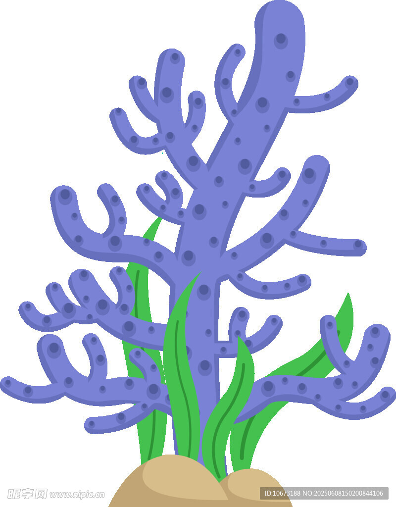 紫色珊瑚與綠色海草