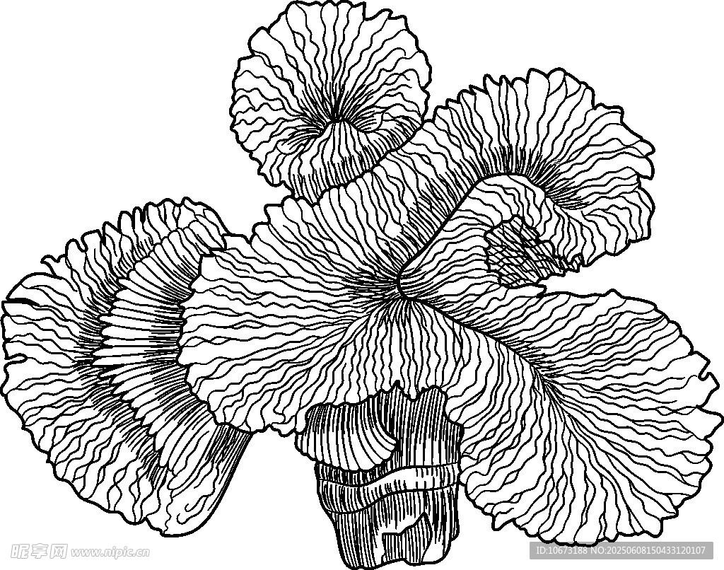 手繪蘑菇圖案藝術(shù)插畫