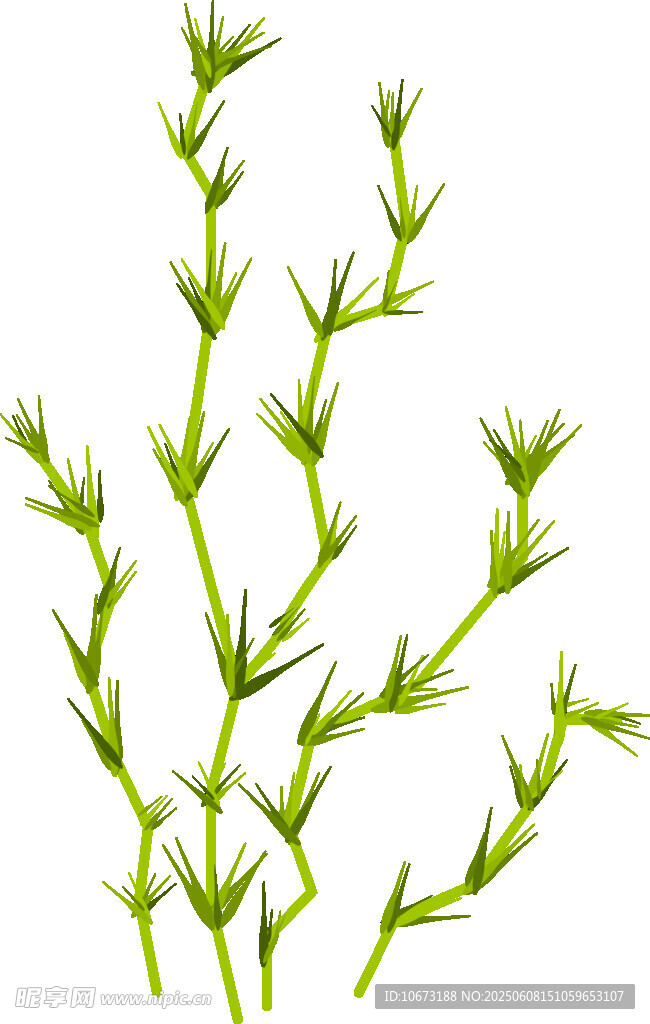 嫩綠植物枝條特寫