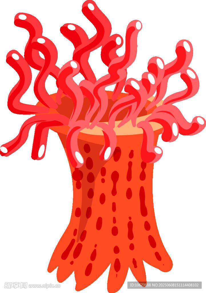 紅色珊瑚插畫
