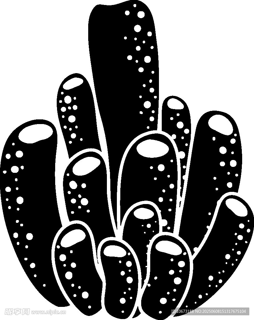 黑白風仙人掌插畫圖案