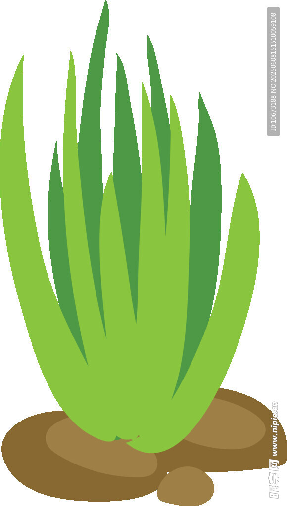 綠色蘆薈植物插畫