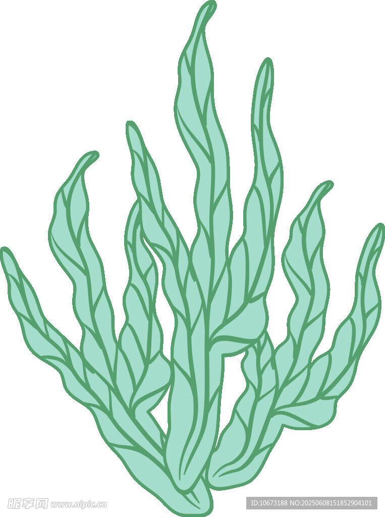 淺綠色海草插畫