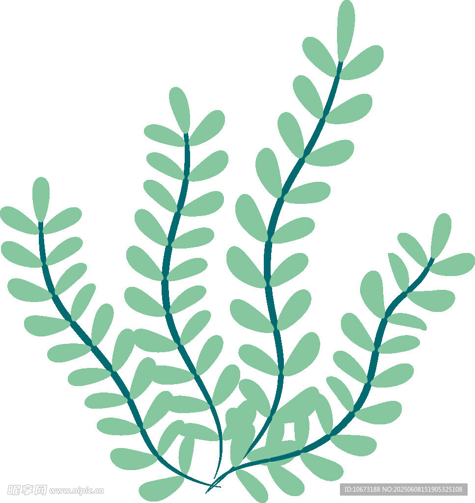 清新綠葉植物插畫